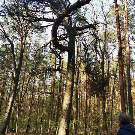 M&k Zakatek - Sobieszewo 公寓 格但斯克