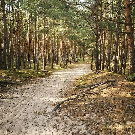 M&k Zakatek - Sobieszewo 格但斯克