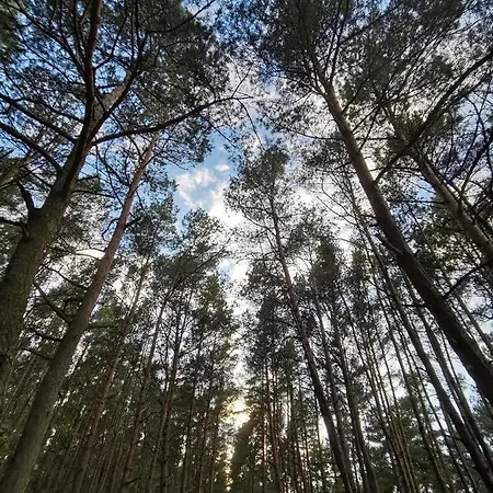 M&k Zakatek - Sobieszewo 公寓 格但斯克