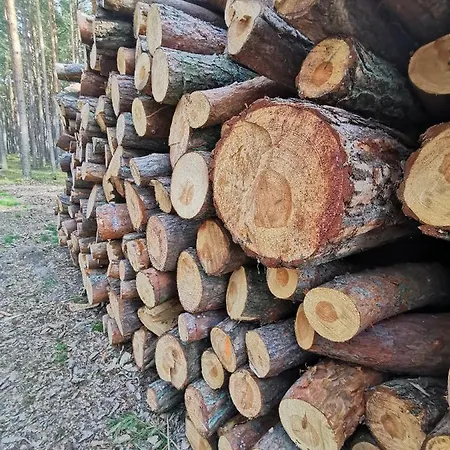 M&k Zakatek - Sobieszewo Gdańsk