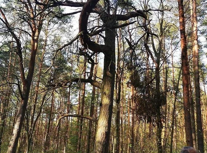 M&k Zakatek - Sobieszewo Appartement Gdańsk