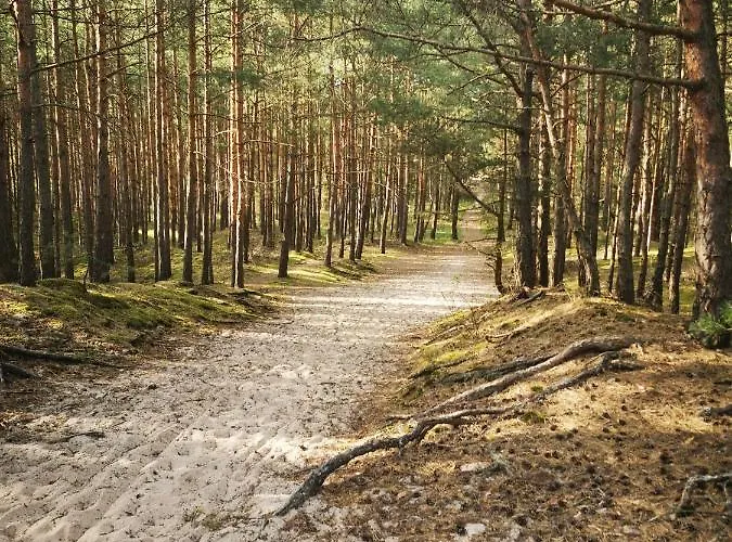 M&k - Słoneczne Tarasy I Gdańsk