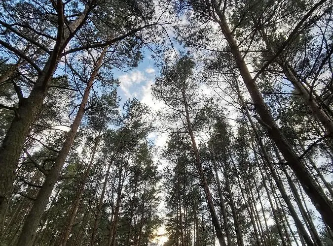 M&k Zakatek - Sobieszewo Appartement Gdańsk