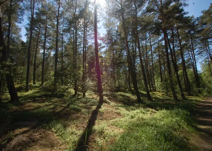 M&k Zakatek - Sobieszewo * Gdańsk