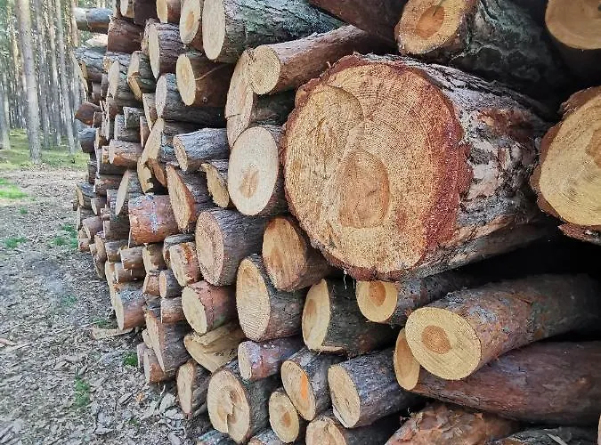 M&k Zakatek - Sobieszewo Gdansk