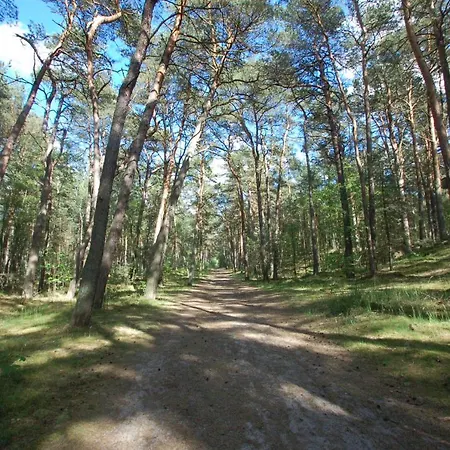 M&k Zakatek - Sobieszewo