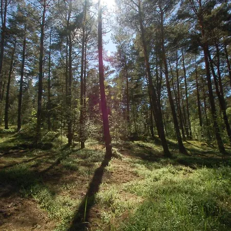 M&k Zakatek - Sobieszewo * グダニスク