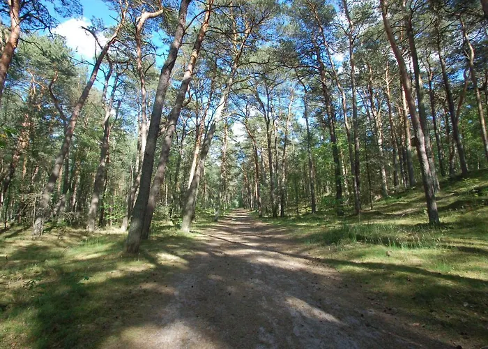 M&k Zakatek - Sobieszewo